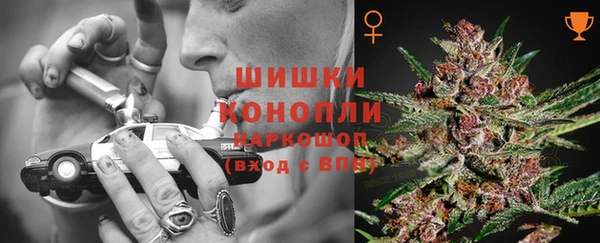 прущие грибы Абинск