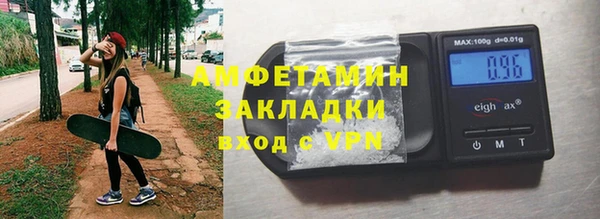 прущие грибы Абинск