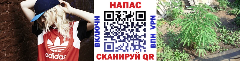 Бошки марихуана Ganja  Бавлы 